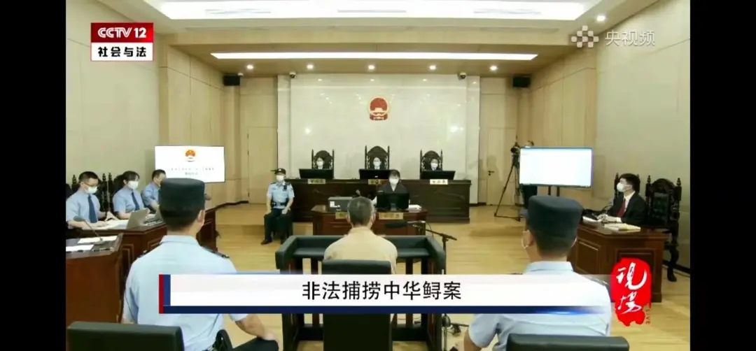 425万网友在线围观审判！只因吃了这种鱼，他被判刑一年多